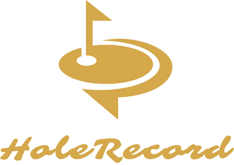 HoleRecord